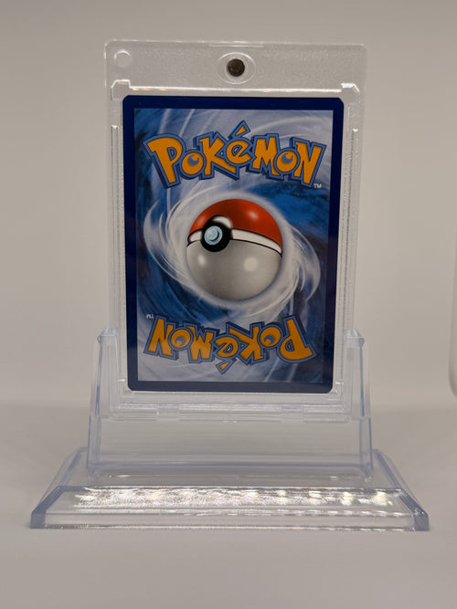 Cynthias Kryppuk Deutsch NM